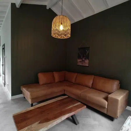 Дом отдыха Luxe Familiehuis 8p Nabij Bos En Hei Op De Veluwe *